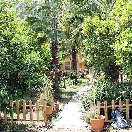 Hotel Oran Pansiyon Agac Evler Çıralı Exteriér fotografie