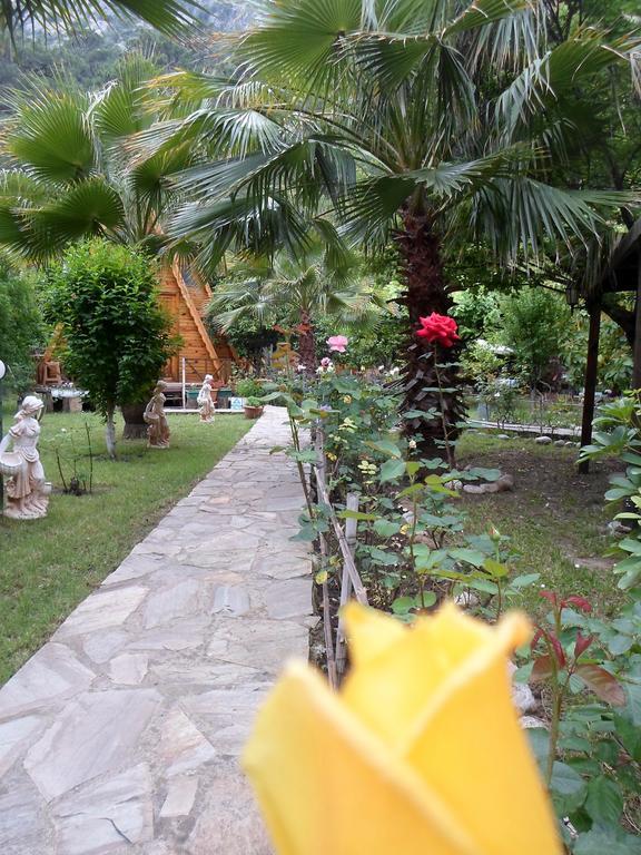 Hotel Oran Pansiyon Agac Evler Çıralı Exteriér fotografie