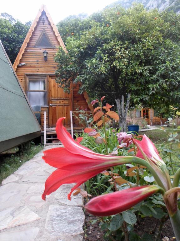 Hotel Oran Pansiyon Agac Evler Çıralı Exteriér fotografie