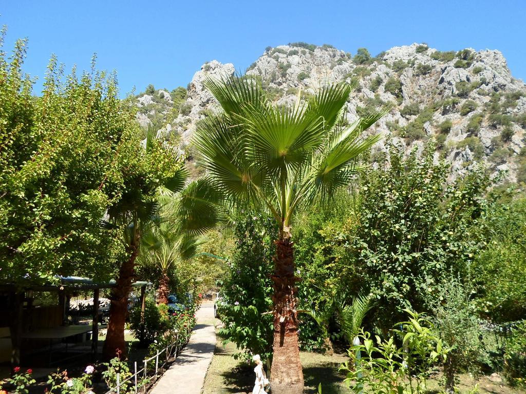 Hotel Oran Pansiyon Agac Evler Çıralı Exteriér fotografie