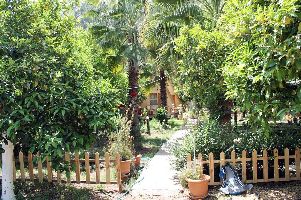 Hotel Oran Pansiyon Agac Evler Çıralı Exteriér fotografie